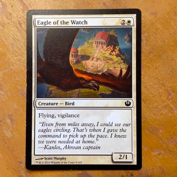 eagle of the watch 9/165 magic the gathering card - Picture 1 of 3